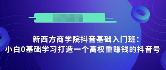 抖音基础入门班：小白0基础学习打造一个高权重赚钱的抖音号-千木学社