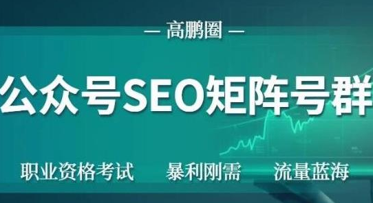 高鹏圈公众号SEO矩阵号群，实操20天纯收益25000+，普通人都能做-千木学社