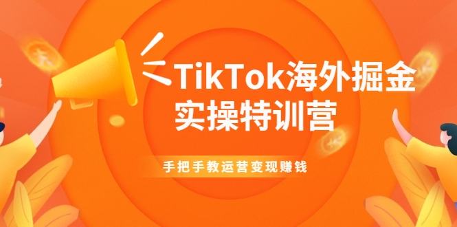 TikTok海外掘金实操特训营：手把手教运营变现赚钱-千木学社