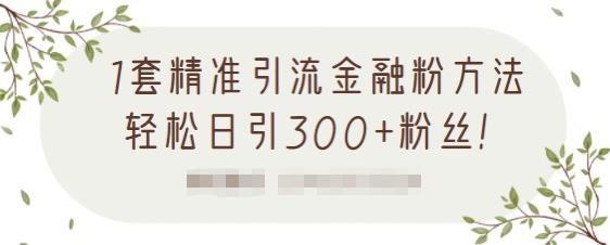 1套精准引流金融粉方法，轻松日引300+粉丝-千木学社