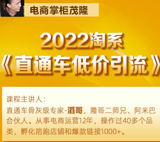 茂隆2022直通车低价引流玩法，教大家如何低投入高回报的直通车玩法-千木学社