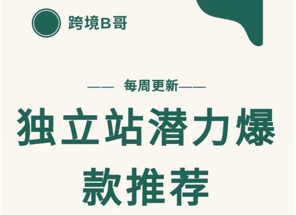 【跨境B哥】独立站潜力爆款选品推荐，测款出单率高达百分之80-千木学社