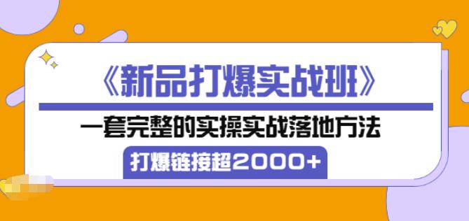 凌童《新品打爆实战班》,一套完整的实操实战落地方法，打爆链接超2000+（28节课)-千木学社