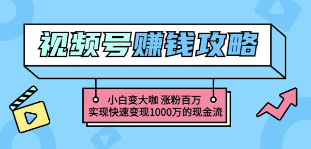 玩转微信视频号赚钱：小白变大咖涨粉百万实现快速变现1000万的现金流-千木学社