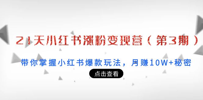 21天小红书涨粉变现营（第3期）：带你掌握小红书爆款玩法，月赚10W+秘密-千木学社