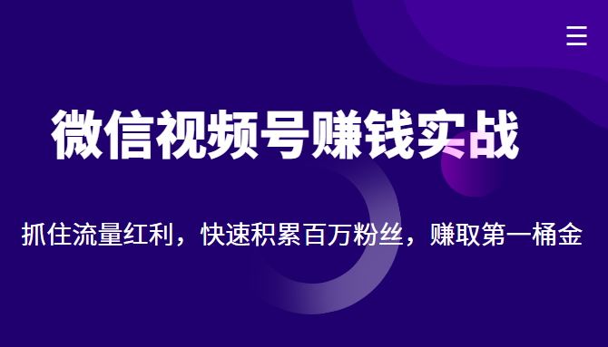 微信视频号赚钱实战：抓住流量红利，快速积累百万粉丝，赚取你的第一桶金-千木学社