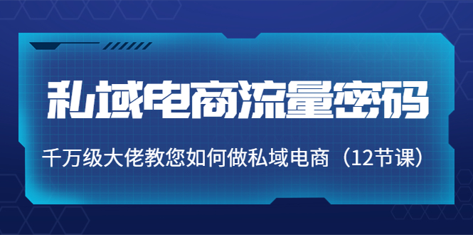 私域电商流量密码：千万级大佬教您如何做私域电商（12节课）-千木学社