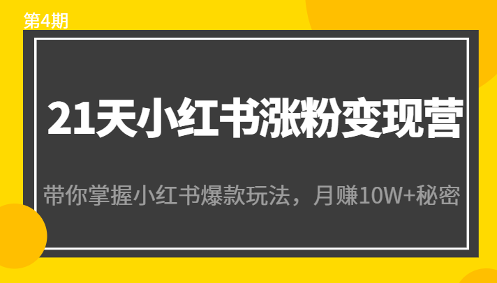 21天小红书涨粉变现营（第4期）：带你掌握小红书爆款玩法，月赚10W+秘密-千木学社