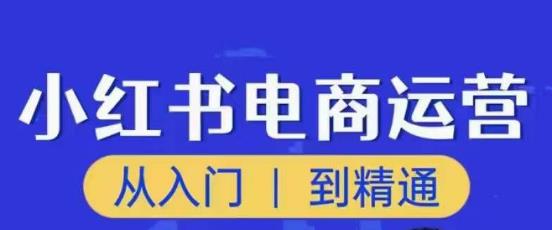 顽石小红书电商高阶运营课程，从入门到精通，玩法流程持续更新-千木学社