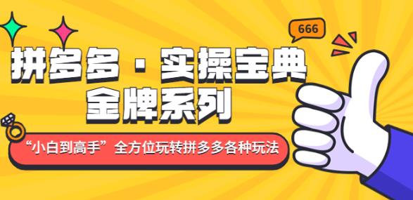 拼多多·实操宝典：金牌系列“小白到高手”带你全方位玩转拼多多各种玩法-千木学社