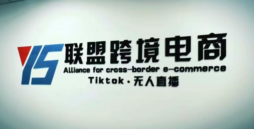 YS联盟·Tiktok无人直播，不出镜不剪辑不拍摄不发货无售后的跨境短视频躺赚玩法-千木学社