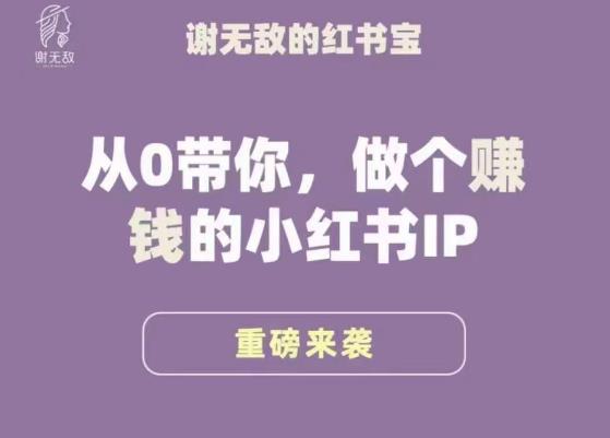 谢无敌·小红书运营大宝典，从0带你做个赚钱的小红书IP-千木学社