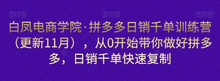 白凤电商学院·拼多多日销千单训练营，从0开始带你做好拼多多，日销千单快速复制（更新知2023年3月）-千木学社