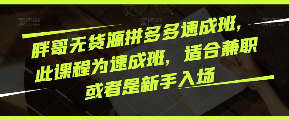 胖哥无货源拼多多速成班，此课程为速成班，适合兼职或者是新手入场-千木学社