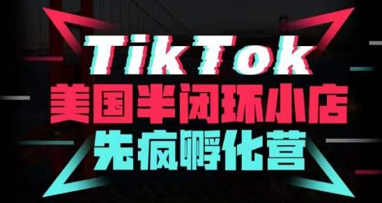 疯人院·TikTok美国半闭环小店孵化营，抢占TikTok美国蓝海市场，开店、运营、带货、投流全实操-千木学社