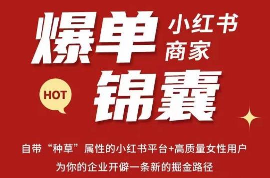 无畏·小红书商家爆单锦囊，掌握小红书各大规则，快速精准抢占行业和市场-千木学社