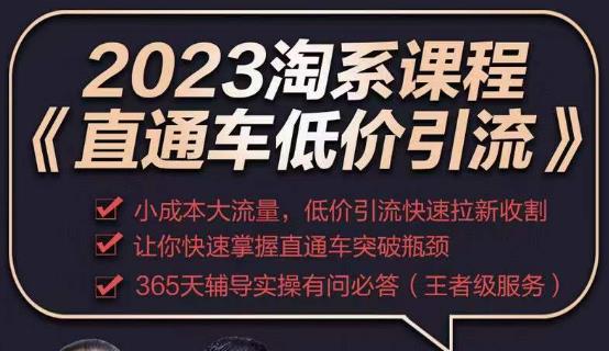 2023直通车低价引流玩法课程，小成本大流量，低价引流快速拉新收割，让你快速掌握直通车突破瓶颈-千木学社