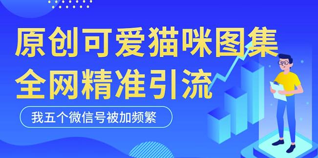 黑科技纯原创可爱猫咪图片，全网精准引流，实操5个VX号被加频繁-千木学社