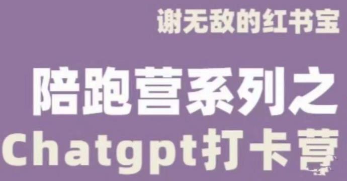 谢无敌ChatGPT打卡营，教你更好地使用ChatGPT来提高工作效率-千木学社