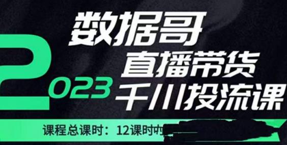 数据哥2023直播电商巨量千川付费投流实操课，快速掌握直播带货运营投放策略-千木学社