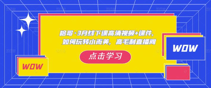 哈哥·3月线下实操课高清视频+课件，如何玩转小而美，高毛利直播间-千木学社