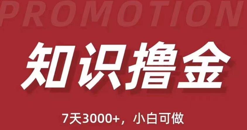 抖音知识撸金项目：简单粗暴日入1000+执行力强当天见收益(教程+资料)-千木学社