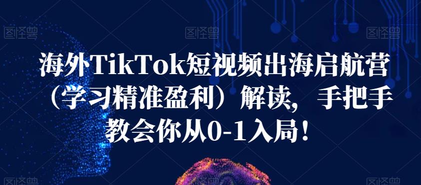 海外TikTok短视频出海启航营（学习精准盈利）解读，手把手教会你从0-1入局！-千木学社