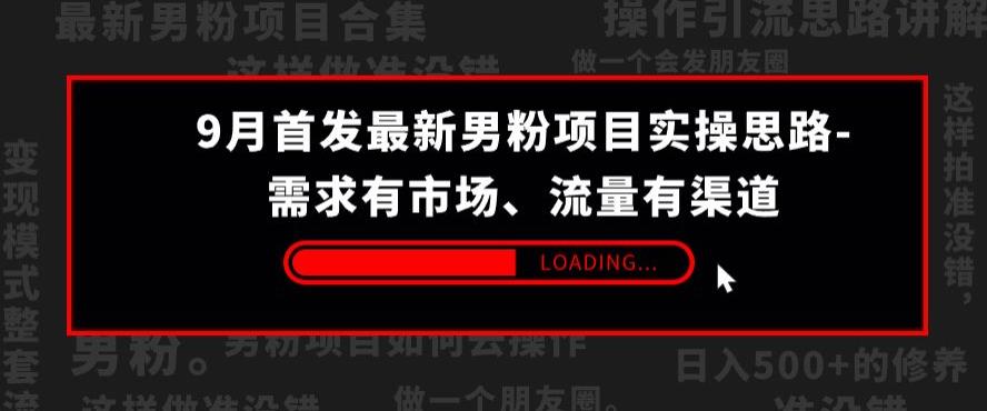 9月首发最新男粉项目实操思路-需求有市场，流量有渠道【揭秘】-千木学社