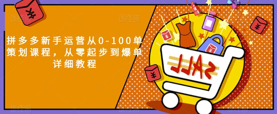 拼多多新手运营从0-100单策划课程，从零起步到爆单详细教程-千木学社