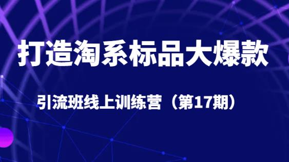 打造淘系标品大爆款引流班线上训练营（第17期）5天直播授课-千木学社