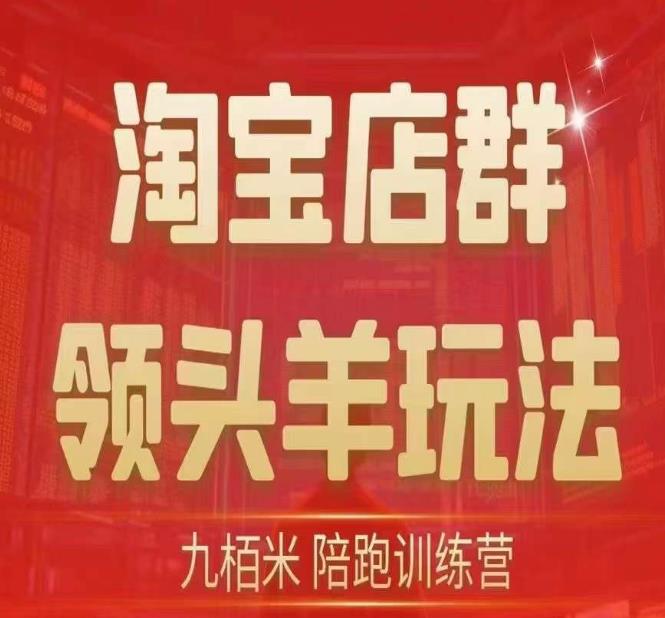 九栢米-淘宝店群领头羊玩法，教你整个淘宝店群领头羊玩法以及精细化/终极蓝海/尾销等内容-千木学社