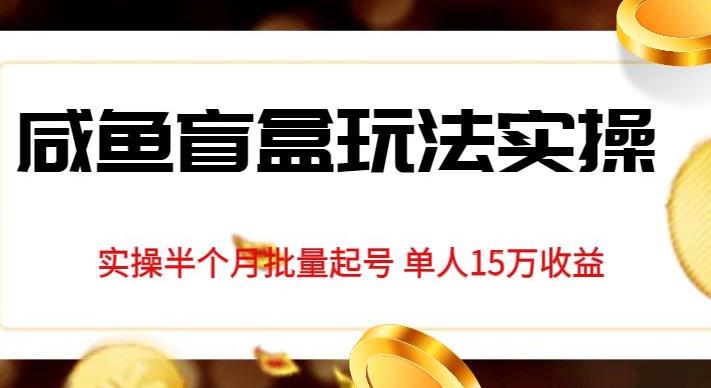 独家首发咸鱼盲盒玩法实操，半个月批量起号单人15万收益【揭秘】-千木学社