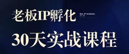 诸葛·2023老板IP实战课，实体同城引流获客，IP孵化必听-千木学社