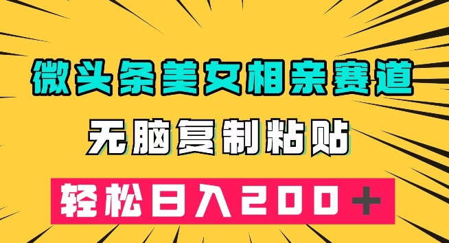 微头条冷门美女相亲赛道，无脑复制粘贴，轻松日入200＋【揭秘】-千木学社