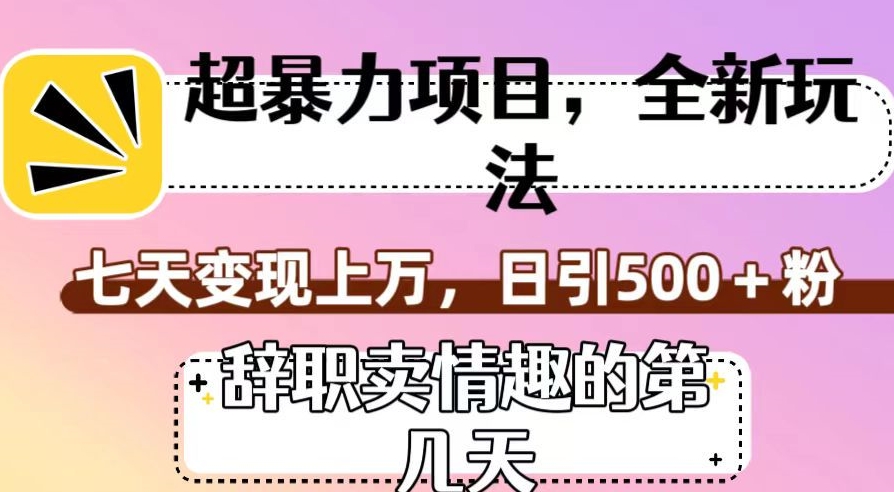 超暴利项目，全新玩法（辞职卖情趣的第几天），七天变现上万，日引500+粉【揭秘】-千木学社