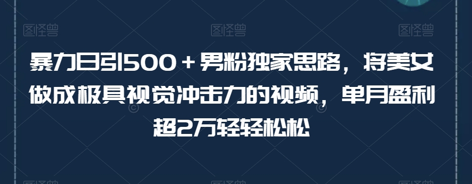 暴力日引500＋男粉独家思路，将美女做成极具视觉冲击力的视频，单月盈利超2万轻轻松松-千木学社