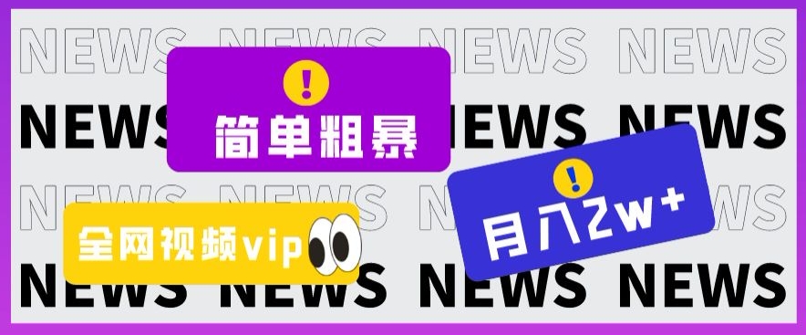 简单粗暴零成本，高回报，全网视频VIP掘金项目，月入2万＋【揭秘】-千木学社