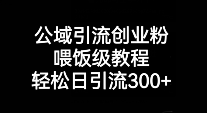 公域引流创业粉，喂饭级教程，轻松日引流300+【揭秘】-千木学社