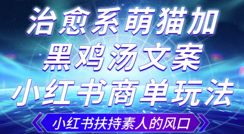 治愈系萌猫加+黑鸡汤文案，小红书商单玩法，3~10天涨到1000粉，一单200左右-千木学社