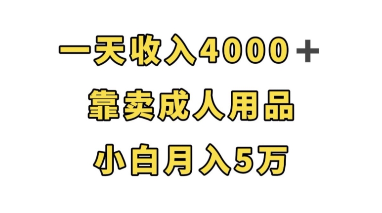 一天收入4000+，靠卖成人用品，小白轻松月入5万【揭秘】-千木学社