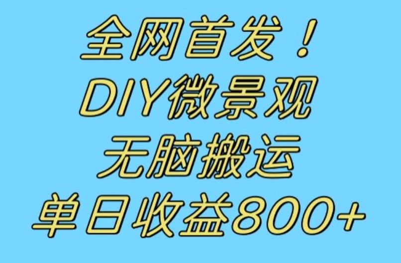 全网首发冷门赛道！DIY微景观，无脑搬运视频，日收益800+【揭秘】-千木学社