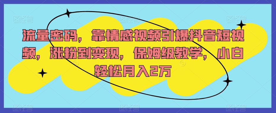 流量密码，靠情感视频引爆抖音短视频，涨粉到变现，保姆级教学，小白轻松月入2万【揭秘】-千木学社