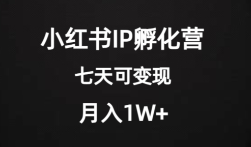 价值2000+的小红书IP孵化营项目，超级大蓝海，七天即可开始变现，稳定月入1W+-千木学社