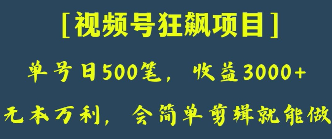 日收款500笔，纯利润3000+，视频号狂飙项目，会简单剪辑就能做【揭秘】-千木学社