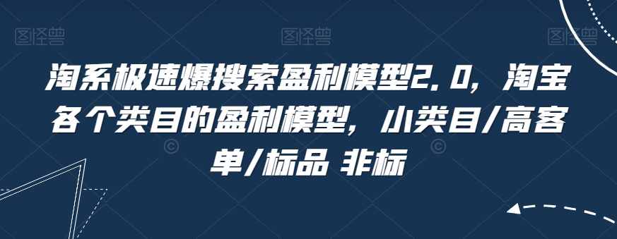 淘系极速爆搜索盈利模型2.0，淘宝各个类目的盈利模型，小类目/高客单/标品 非标-千木学社