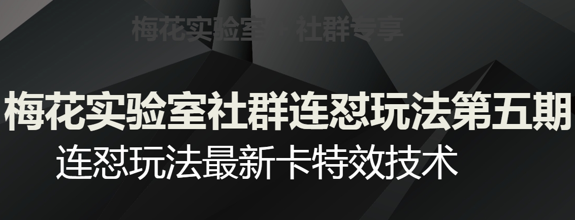 梅花实验室社群连怼玩法第五期，视频号连怼玩法最新卡特效技术-千木学社