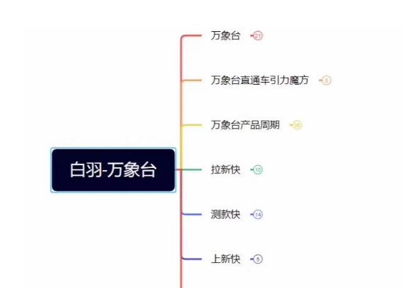 白羽·直引万搜索全篇，从0-1，多个类目实操经验总结付费-千木学社