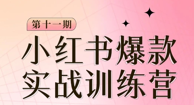 小红书博主爆款训练营第11期，手把手教你从0-1做小红书，从定位到起号到变现-千木学社