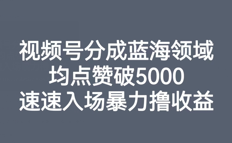 视频号分成蓝海领域，均点赞破5000，速速入场暴力撸收益-千木学社