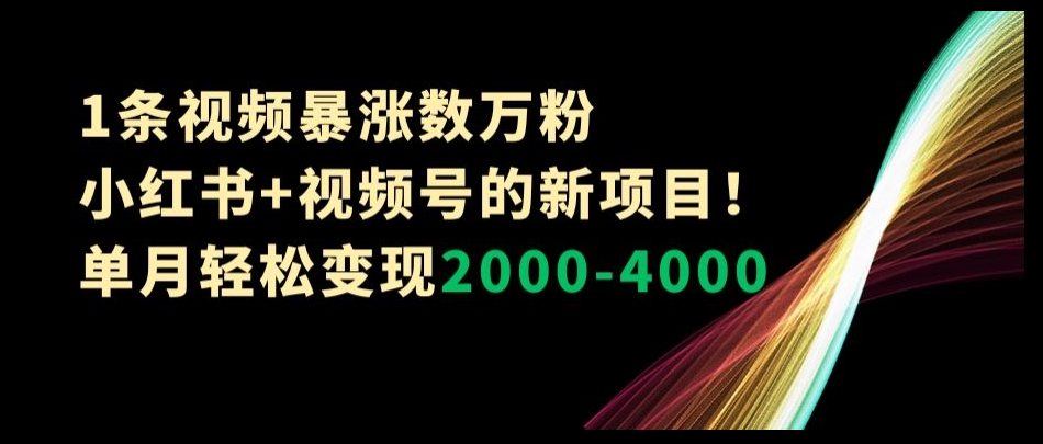 1条视频暴涨数万粉–小红书+视频号的新项目！单月轻松变现2000-4000【揭秘】-千木学社